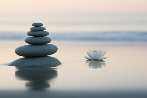 Images Zen : ces visuels apaisants qui transforment votre rapport au calme